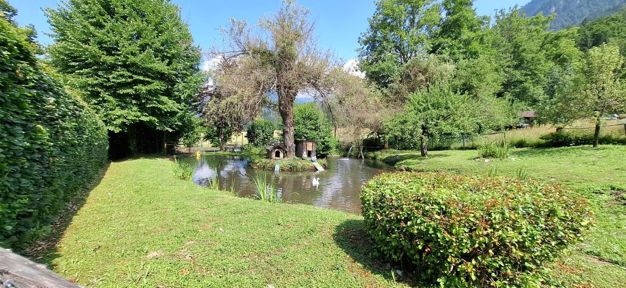 Ferienwohnungen Schloss Wasserleonburg Nötsch Kültér fotó
